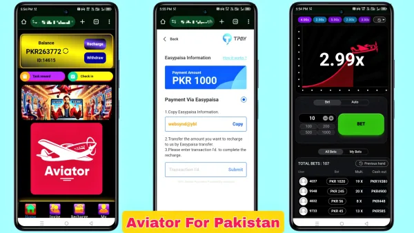 Aviator game source code for Pakistan